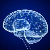 New device claims to be able to predict seizures